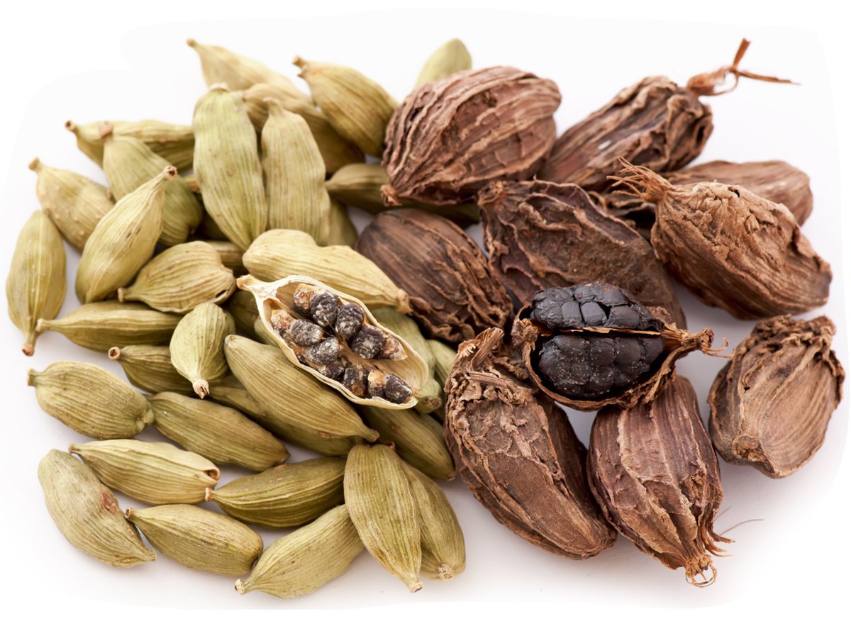 Cardamom11.jpg