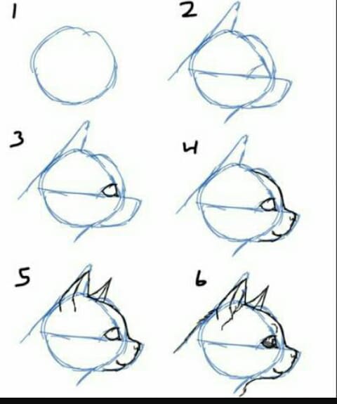 cat draw.jpg
