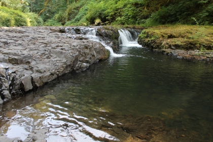 Falls or Rapids - You Decide.jpg