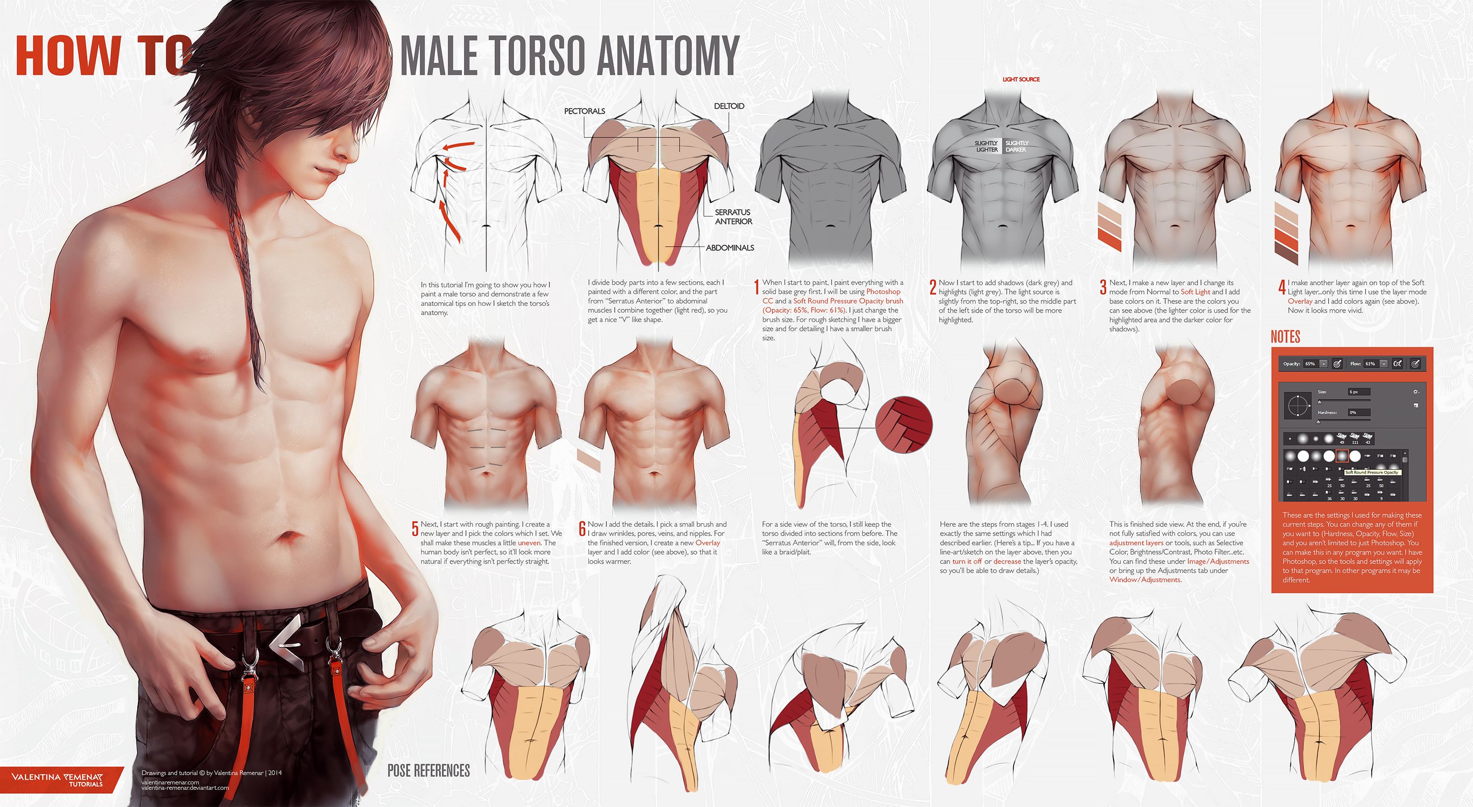 how_to__male_torso_anatomy_by_valentina_remenar-d875m7i.jpg