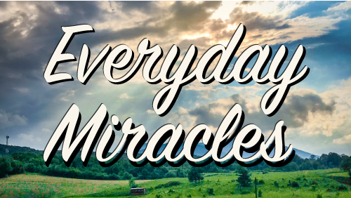 Everyday Miracles