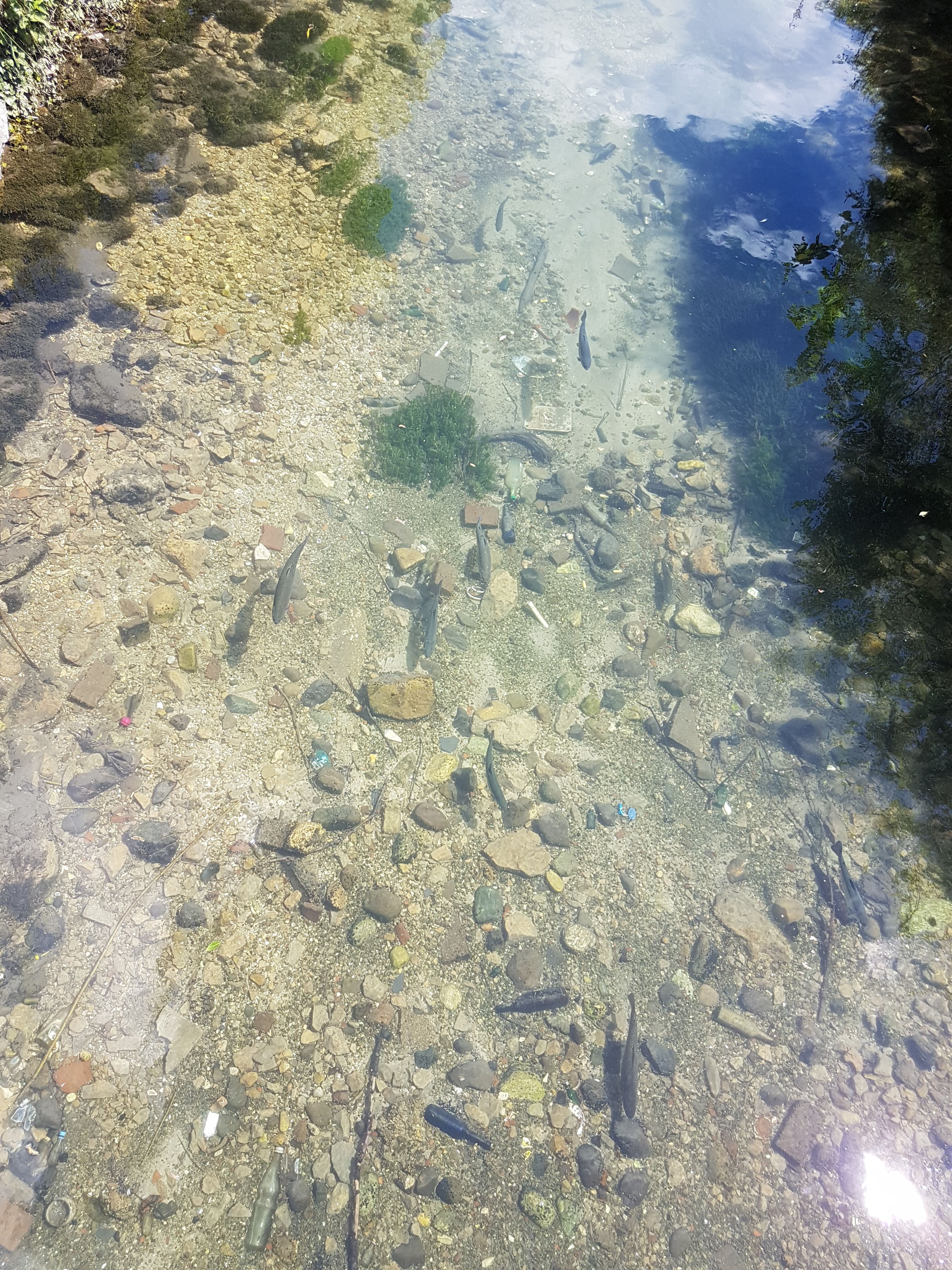20170521_140314.jpg