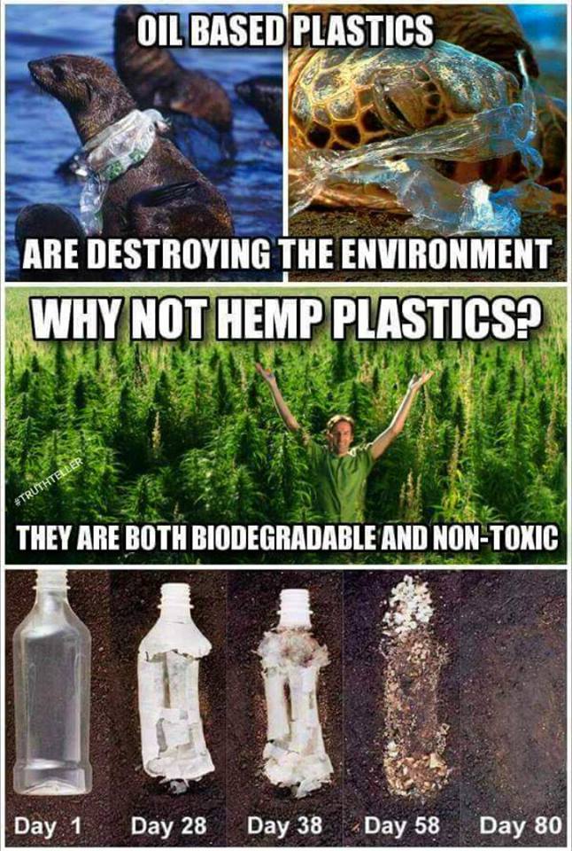 Hemp_plastic.jpg