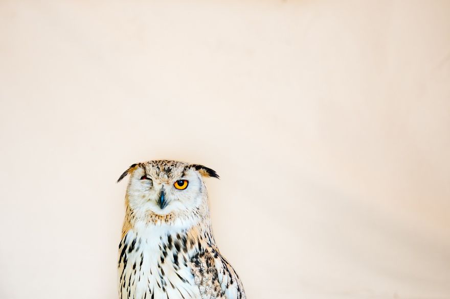 concours-photo-eyeem-18.jpg