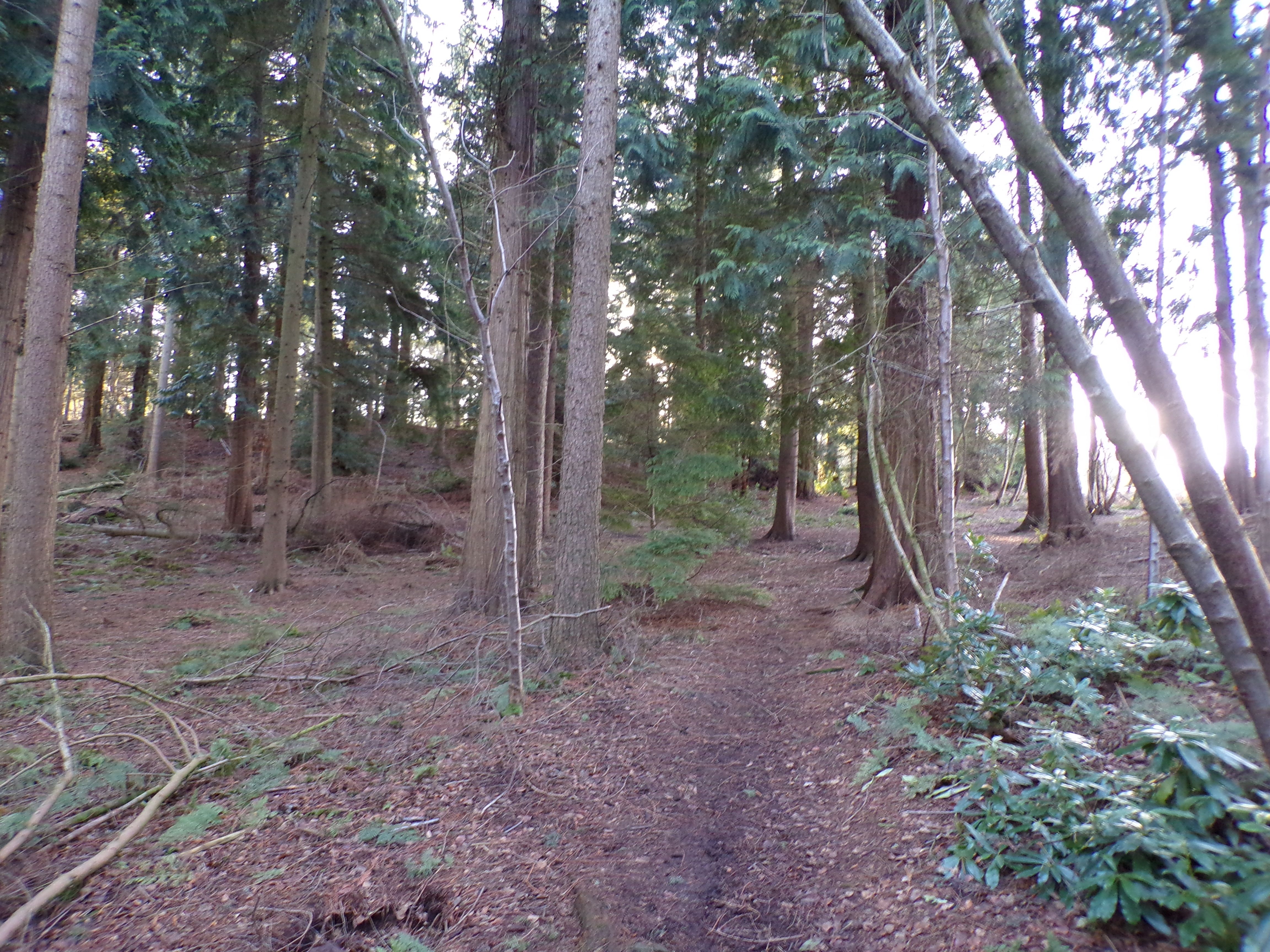 dangerous path.JPG