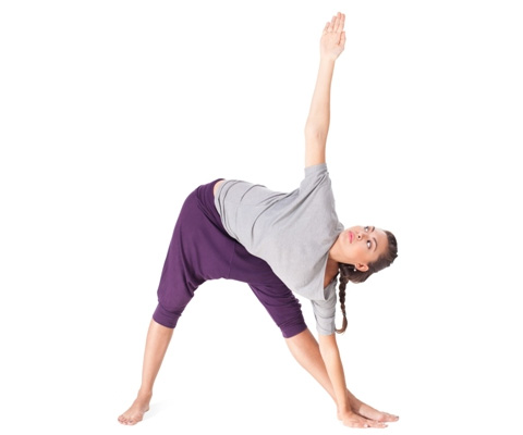 trikonasana-yoga-asana.jpg