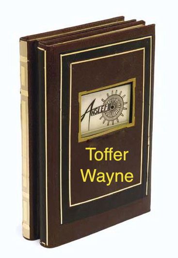 Novel-Anslem-Cover-Toffer Wayne.jpg