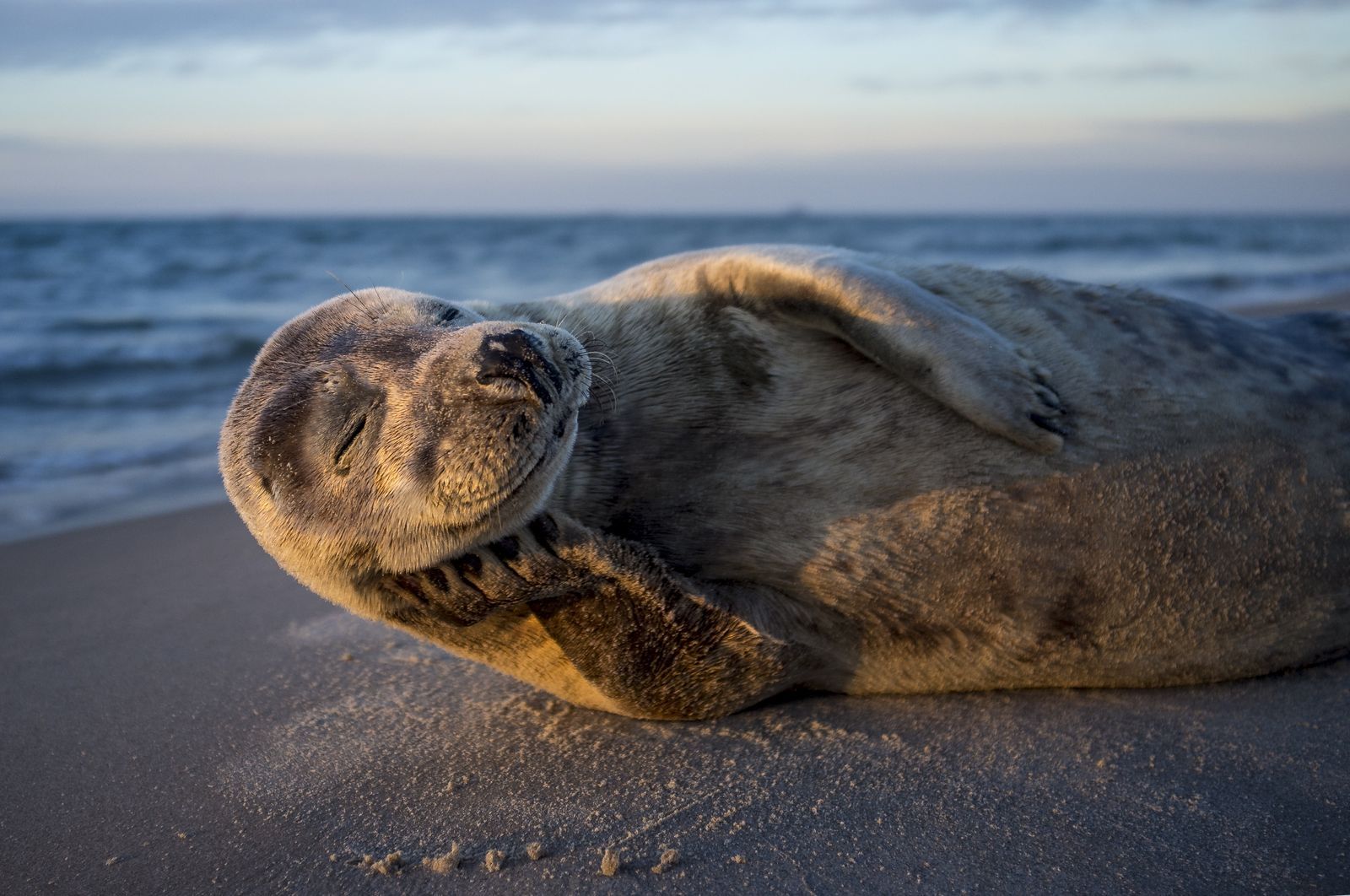 MORNING SUN PHOTOGRAPH BY LARS LYKKE.jpg