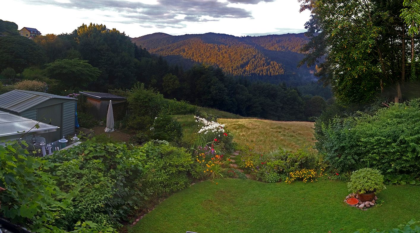 Fensterblick Juli 2016 Kopie.jpg