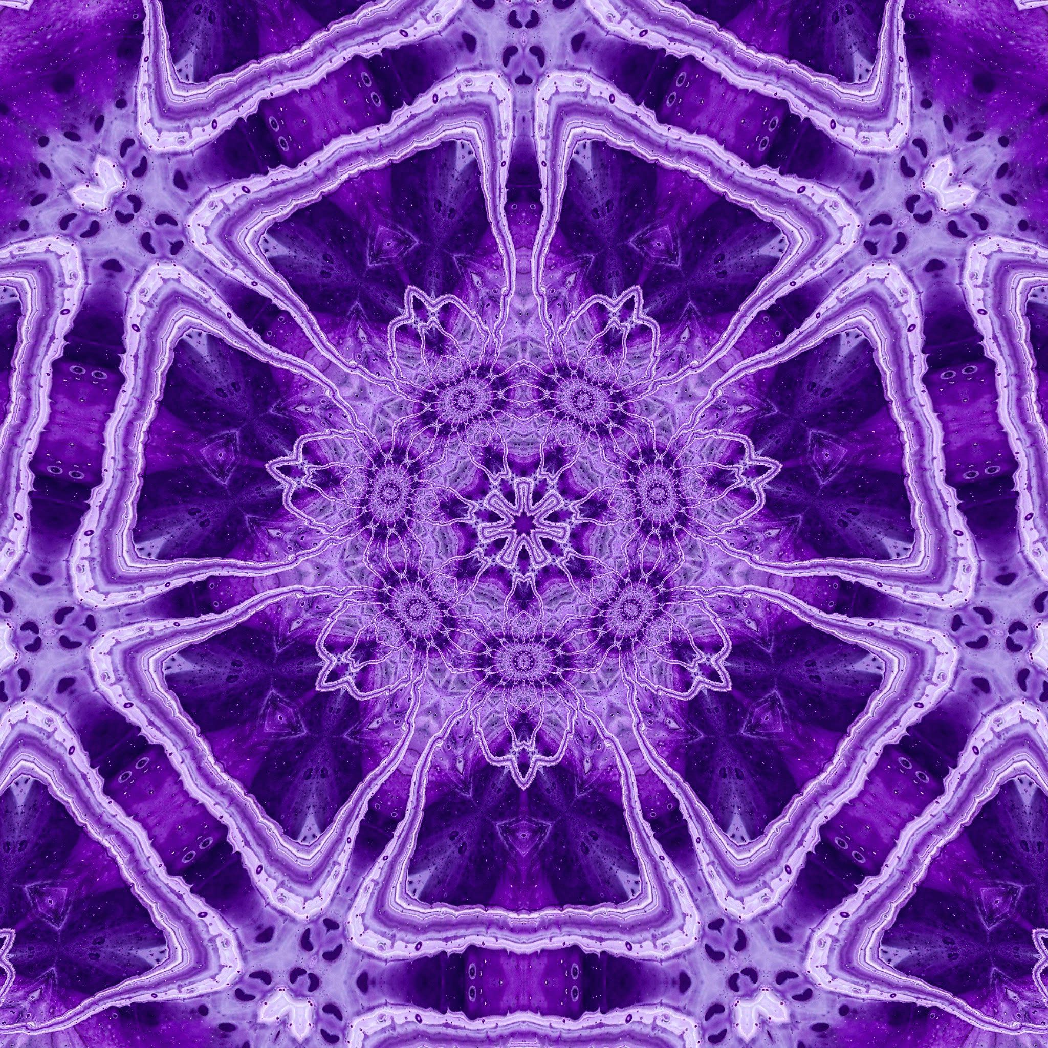 7petals mike pedro.jpg