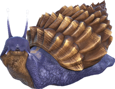 achatina.png