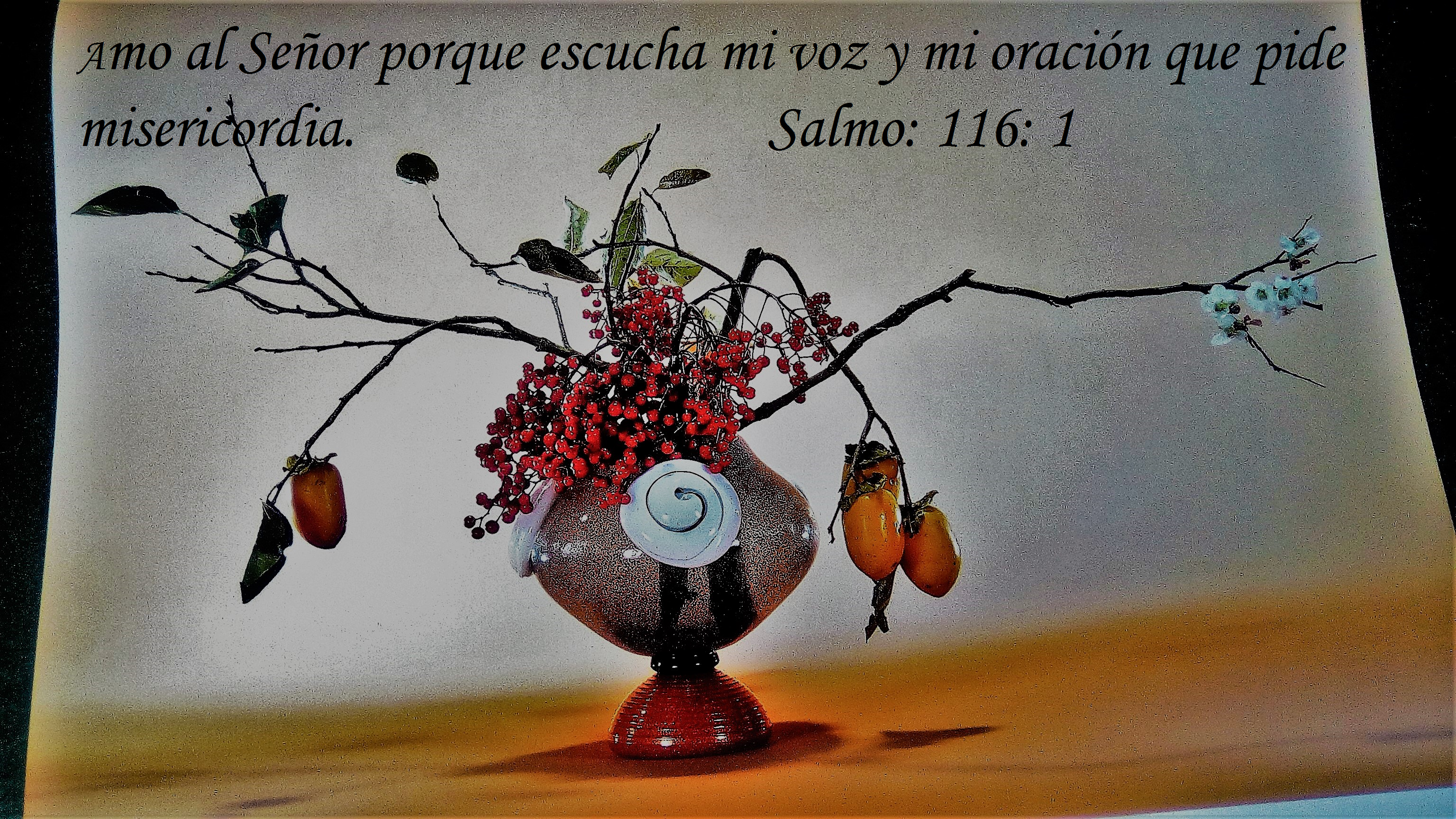 salmo 116.1.png