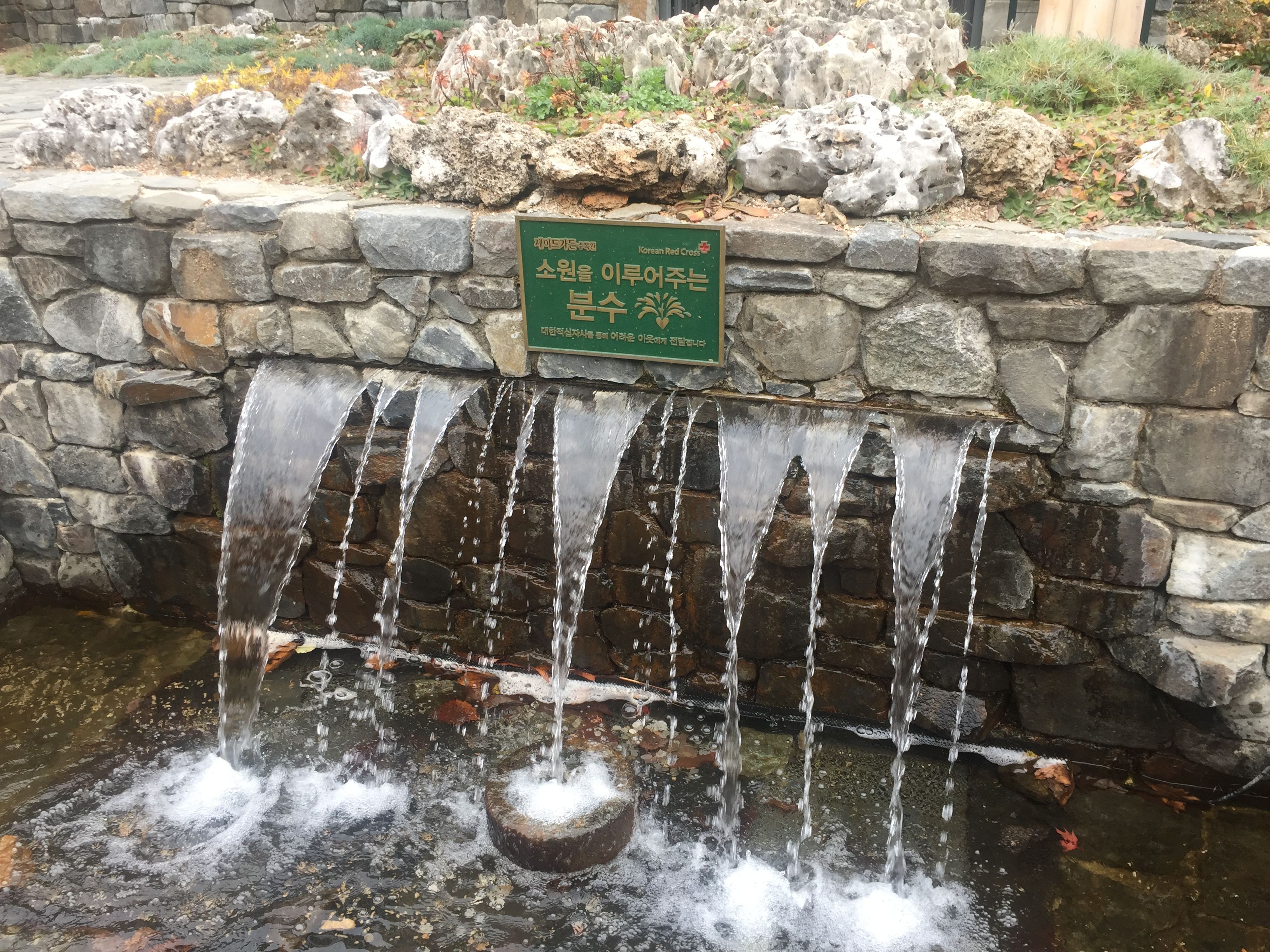 KakaoTalk_2017-11-12-16-04-04_Photo_99.jpeg