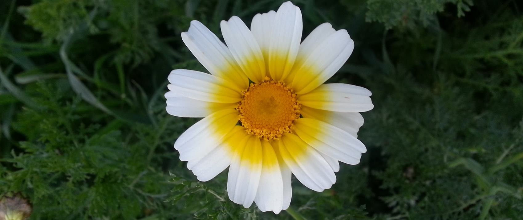20140318_182508.jpg