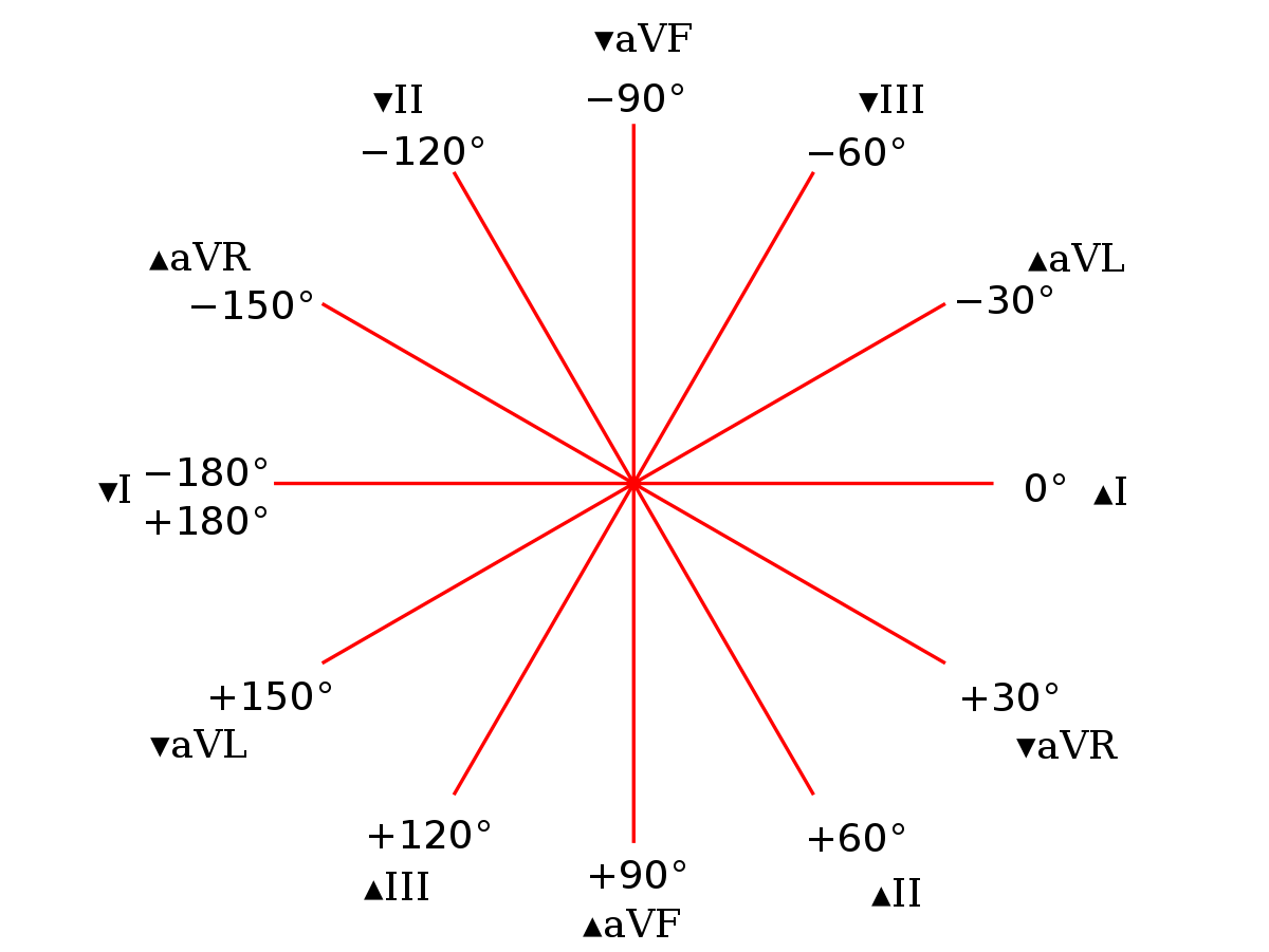 1200px-Hexaxial_reference_system.svg.png