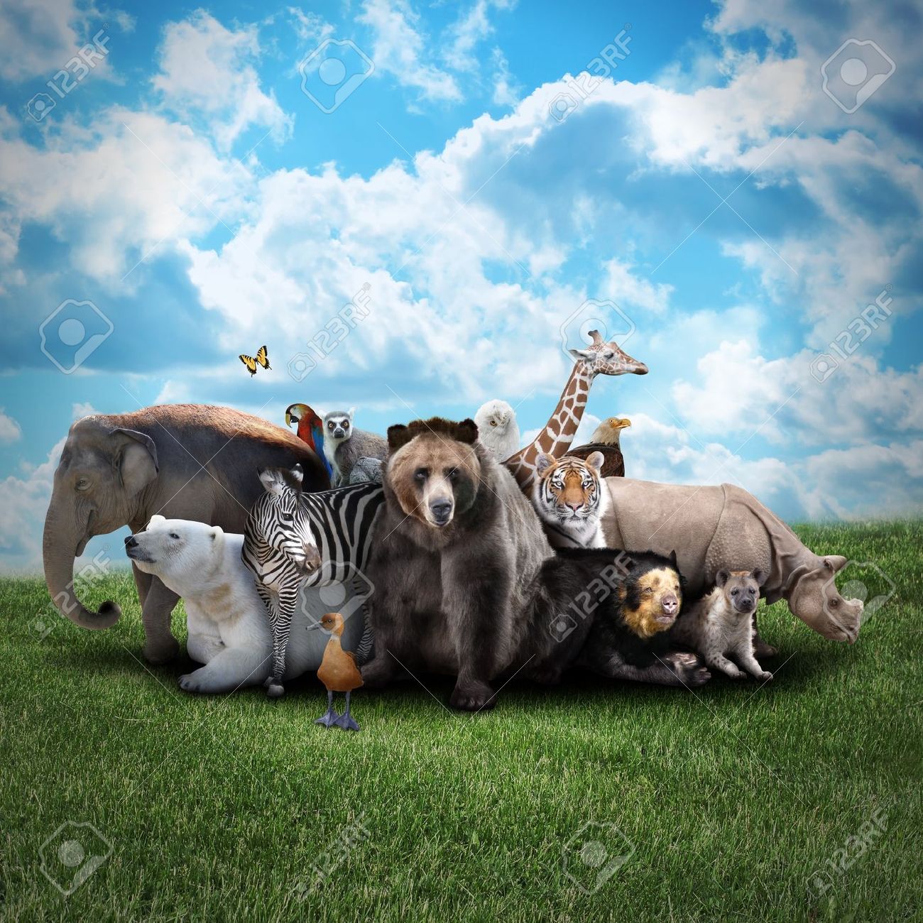 a-group-of-animals-are-together-on-a-nature-background-with-text-area-animals-range-from-an-elephant.jpg