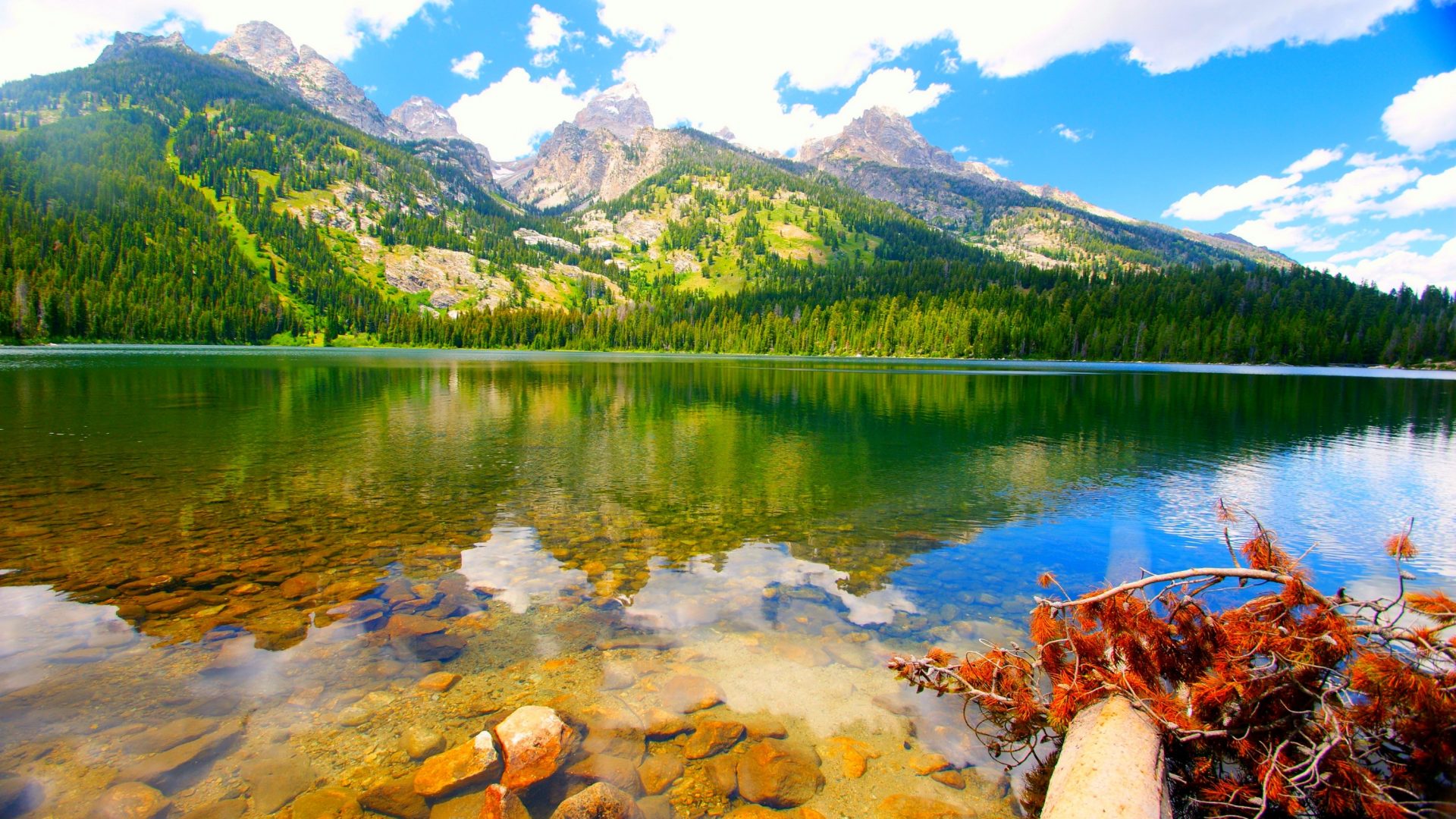 lakes-park-national-clouds-mountain-beautiful-grand-forest-lake-water-crystal-clear-teton-summer-cherry-blossom-japan-wallpaper-1920x1080.jpg