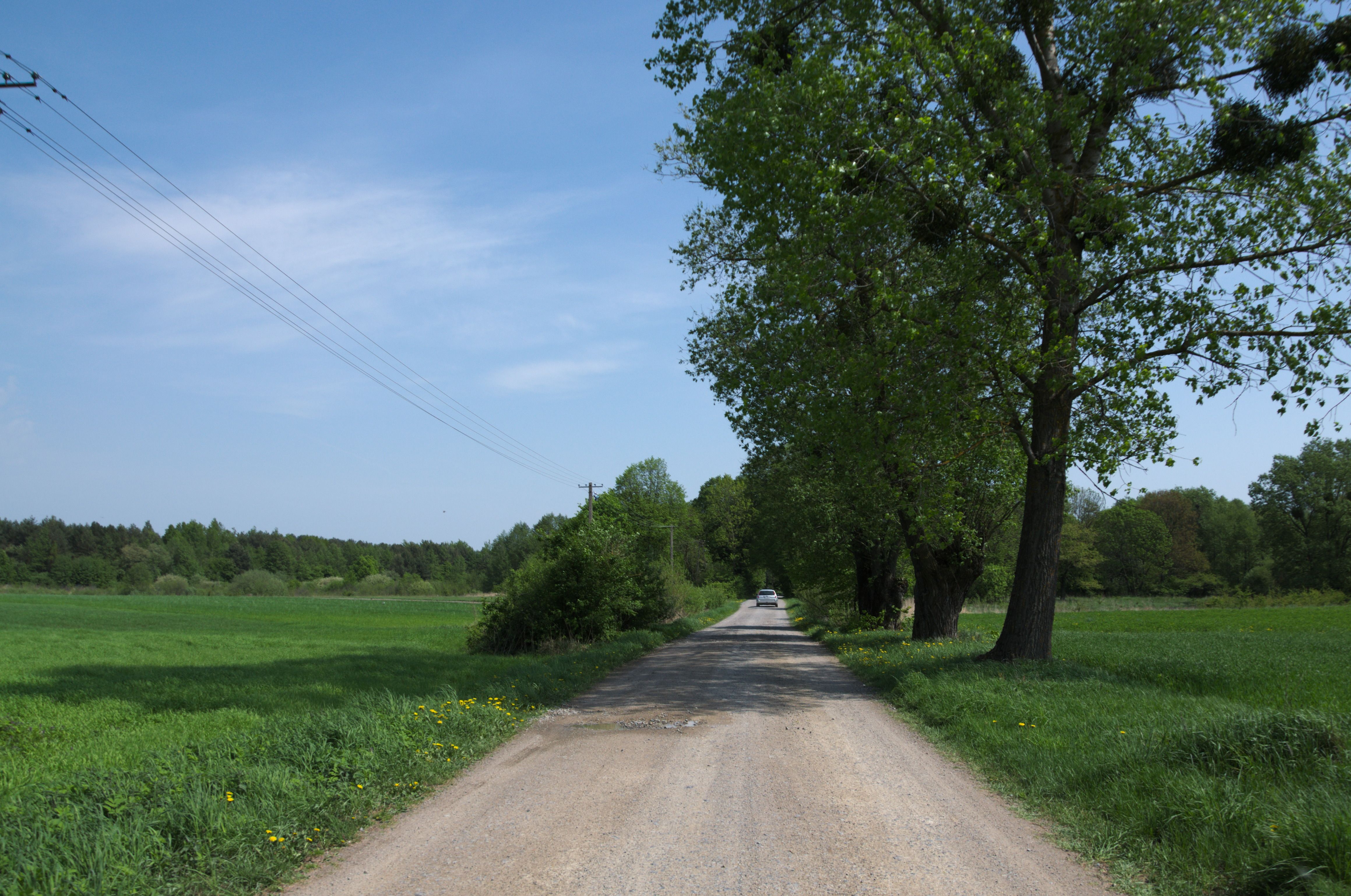 DSC_0294.jpg