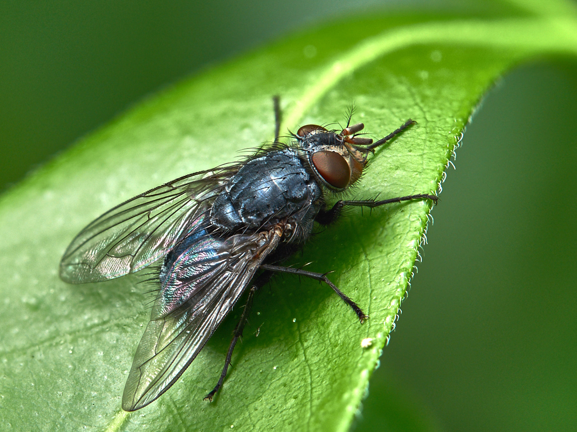 2017-09-042017-09-04-20.02.34 ZS retouched.jpg