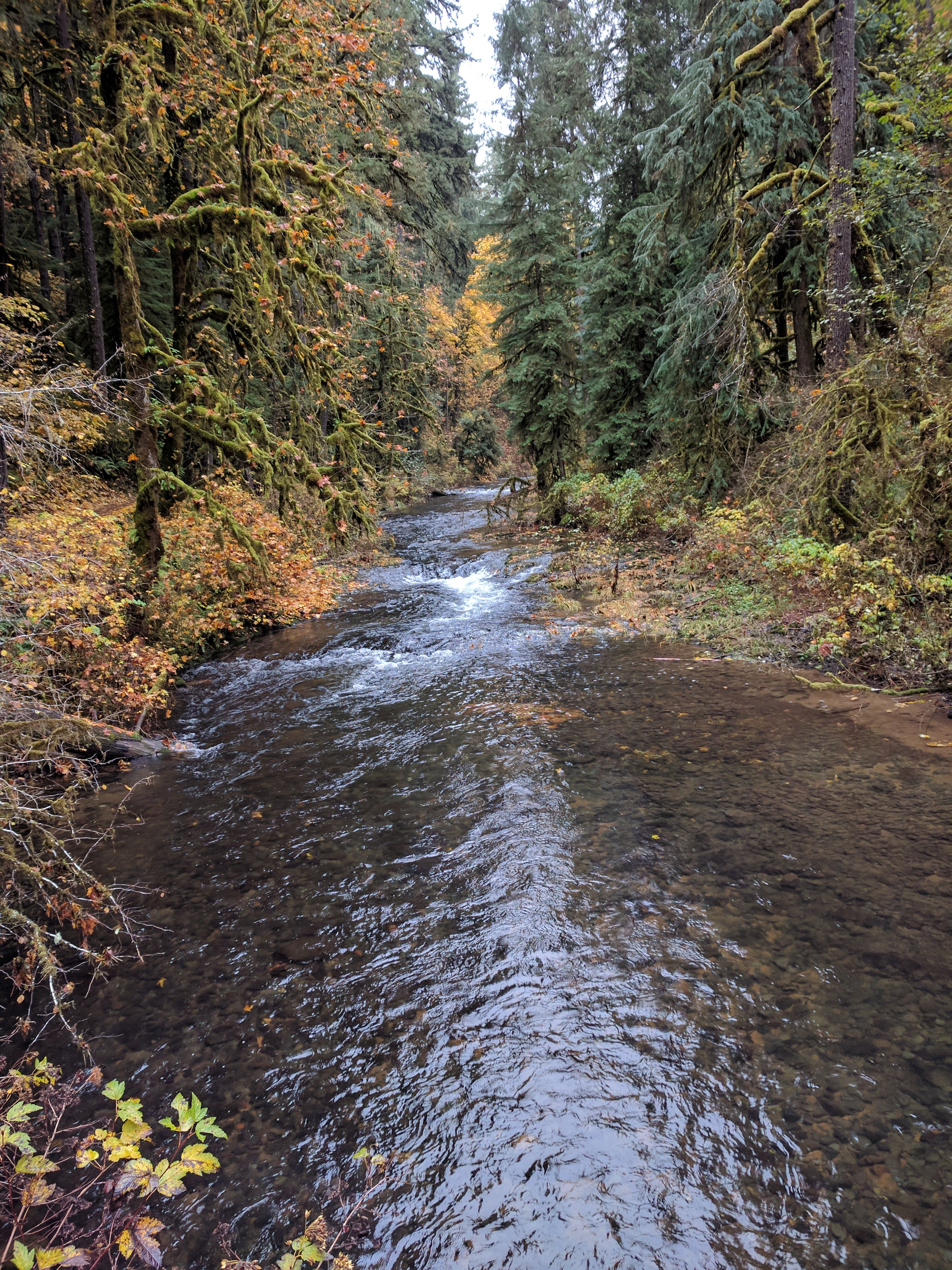 Silver Falls State Park 2.jpg