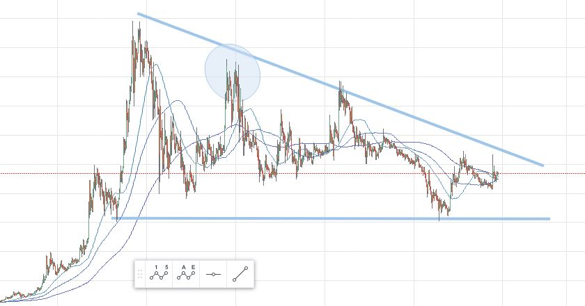 Verge1.JPG