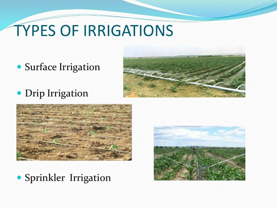 types of surface irrigation methods