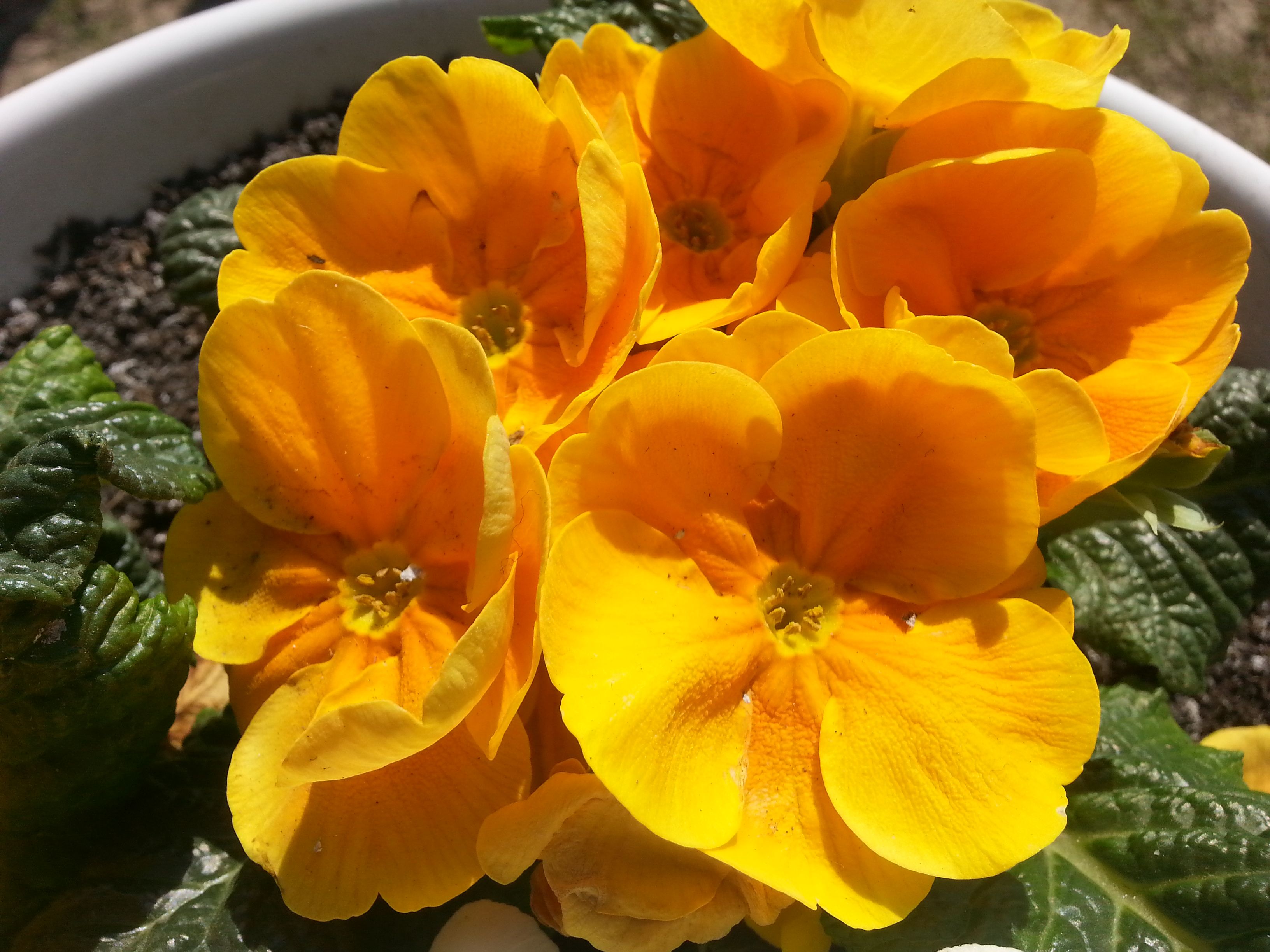 20180412_105112.jpg