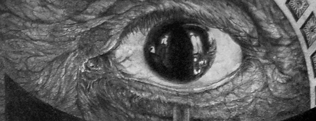 Vindobona Altarpiece III - AOI Exhibition - detail, eye of Pablo.jpg