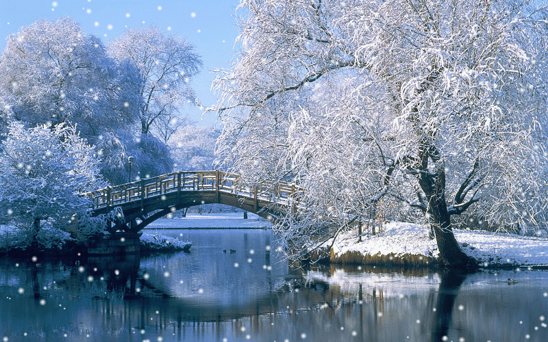 153118-Snowing-Winter-Bridge.gif
