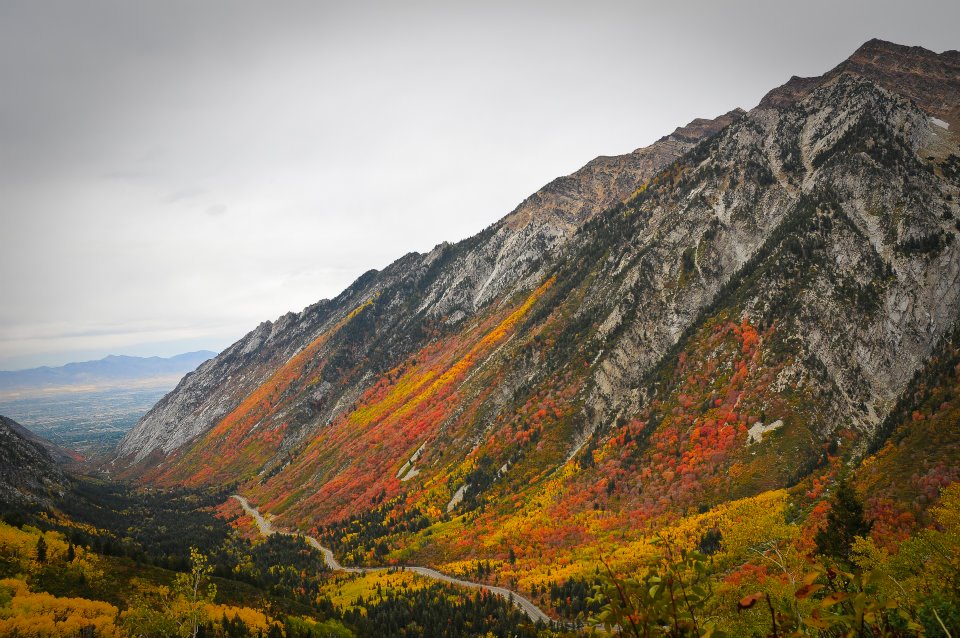 Our mountain. Кули Маунтинс. Махале-Маунтинс. Mountain Side. Lee Side Mountain.