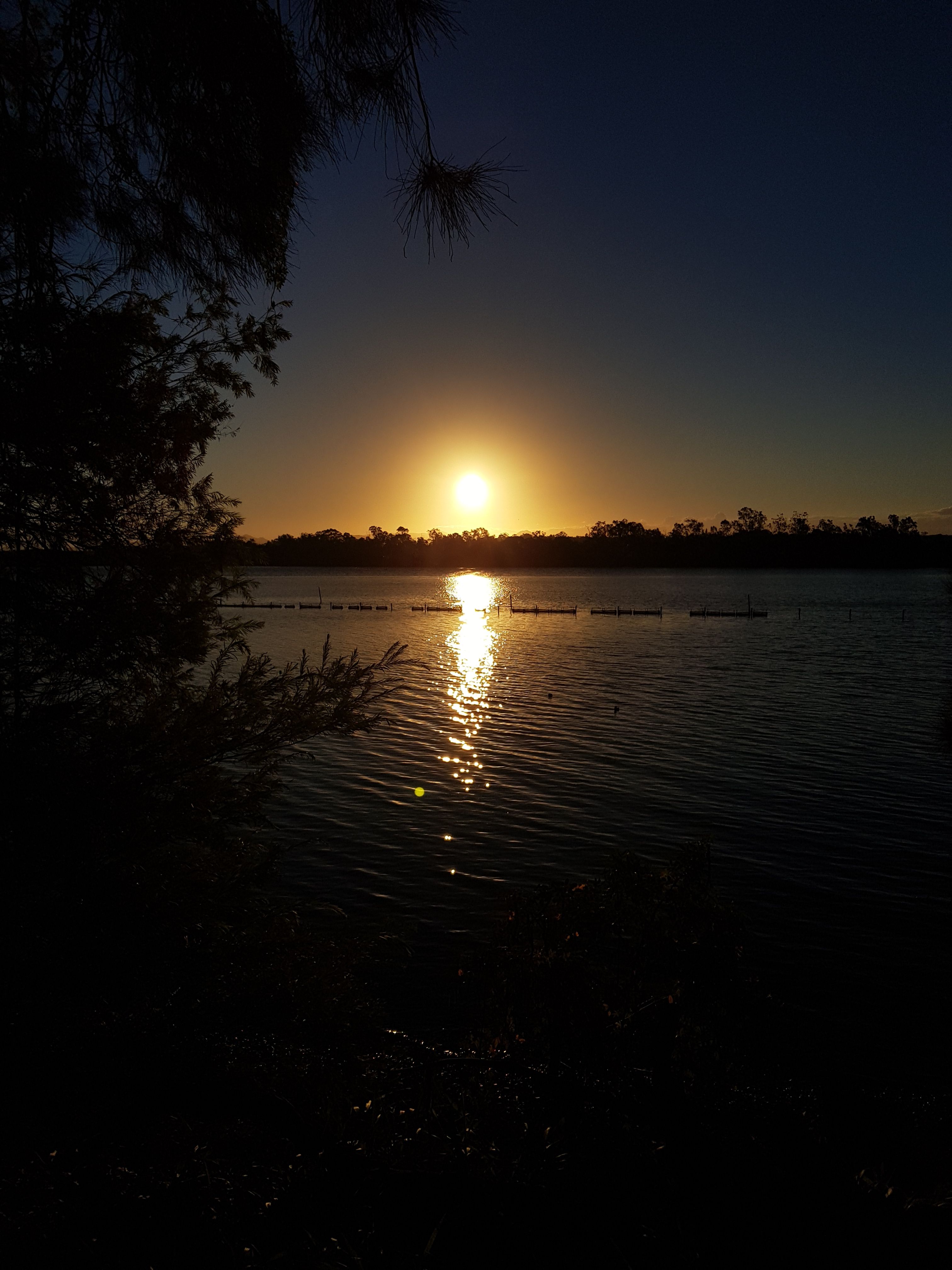 20180408_171603.jpg