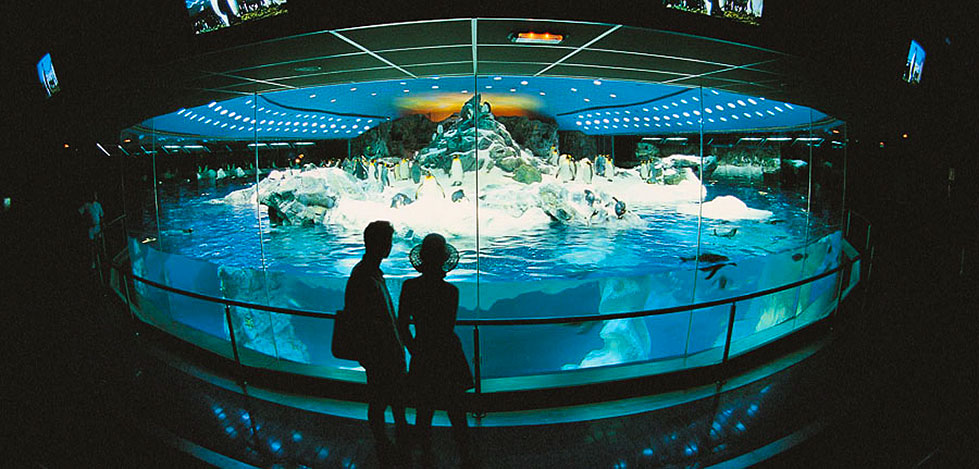 loro_parque_04.jpg