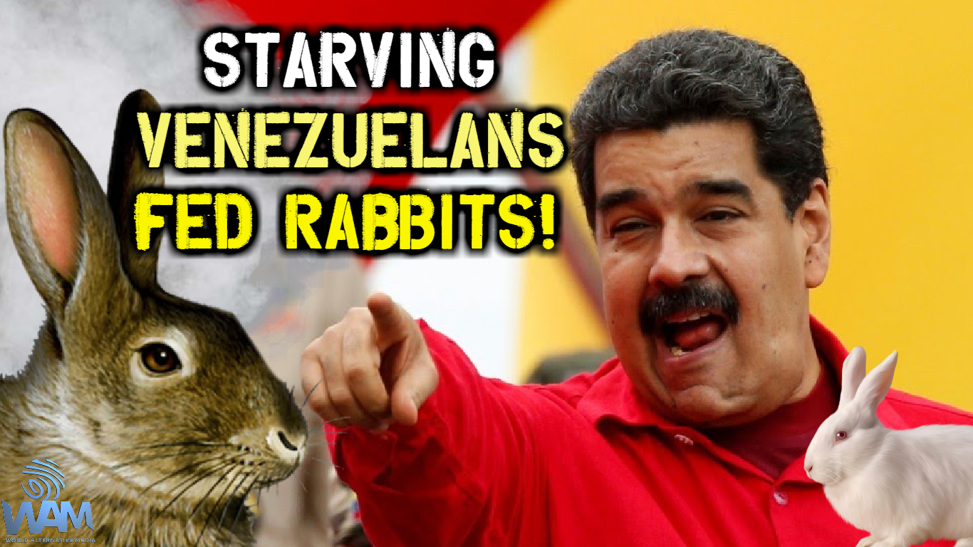 starving venezuelans fed rabbits thumbnail.png