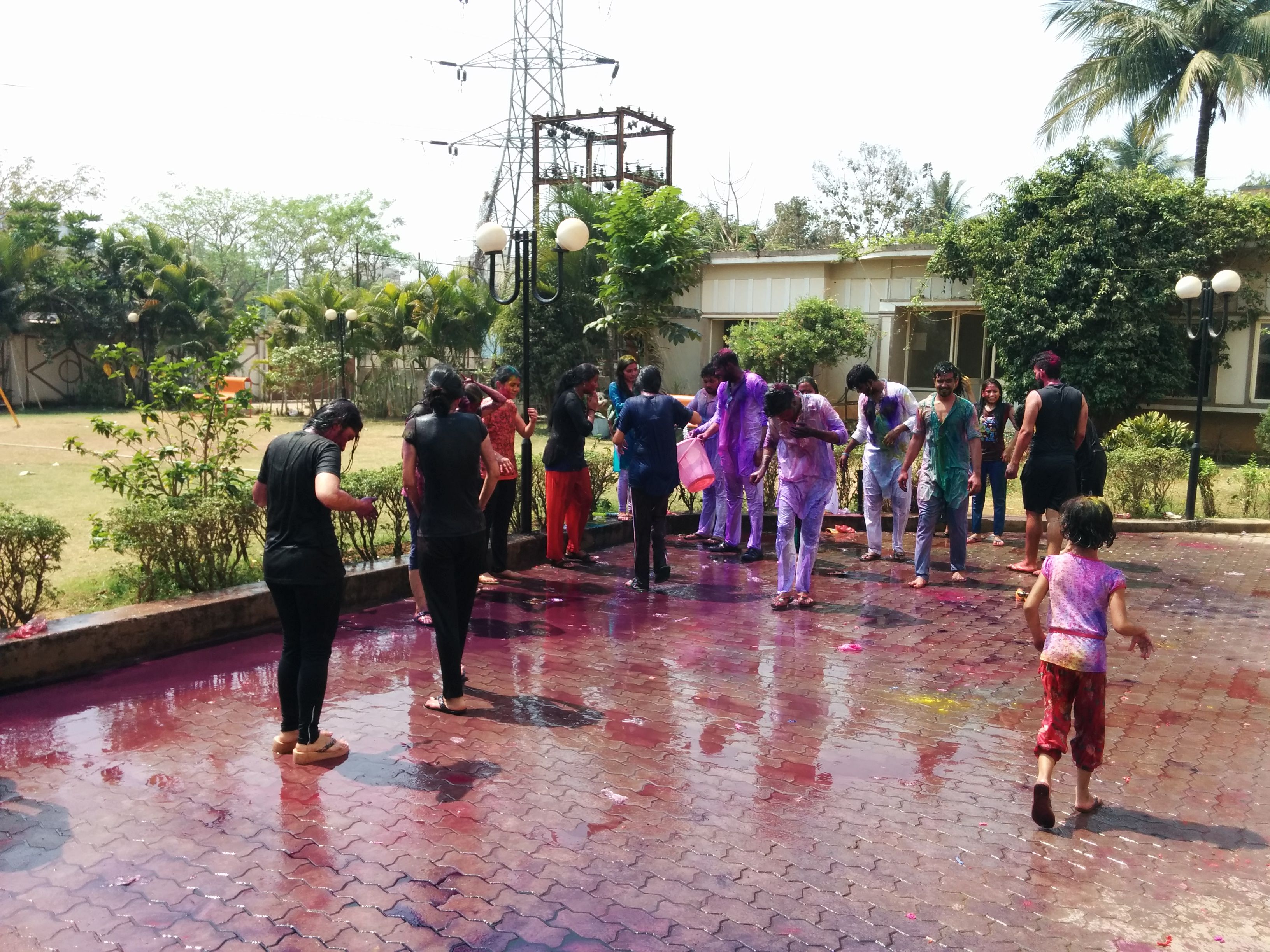 Holi 14.jpg