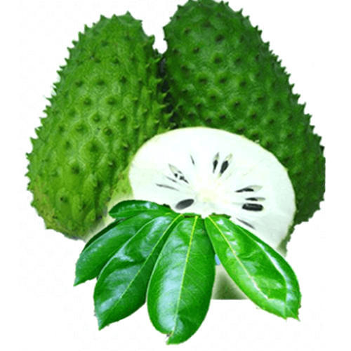 cancer-killing-fruit-graviola-soursop-500x500.jpg