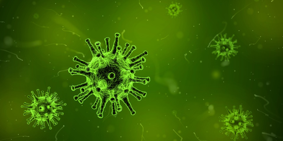 virus-1812092_960_720.jpg