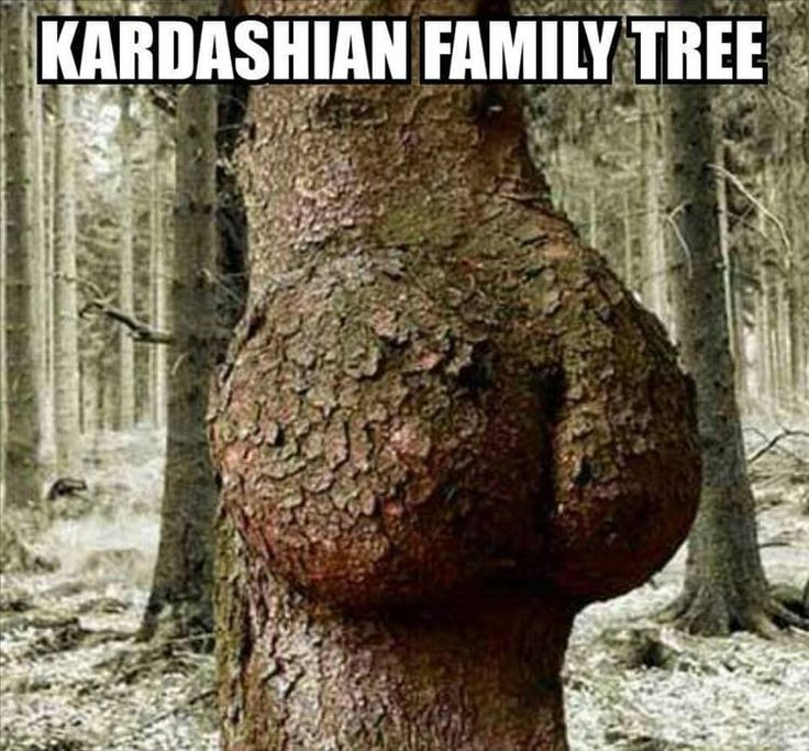 6a0c9491128c30761dcaf23b4158d533--kardashian-family-tree-houses.jpg