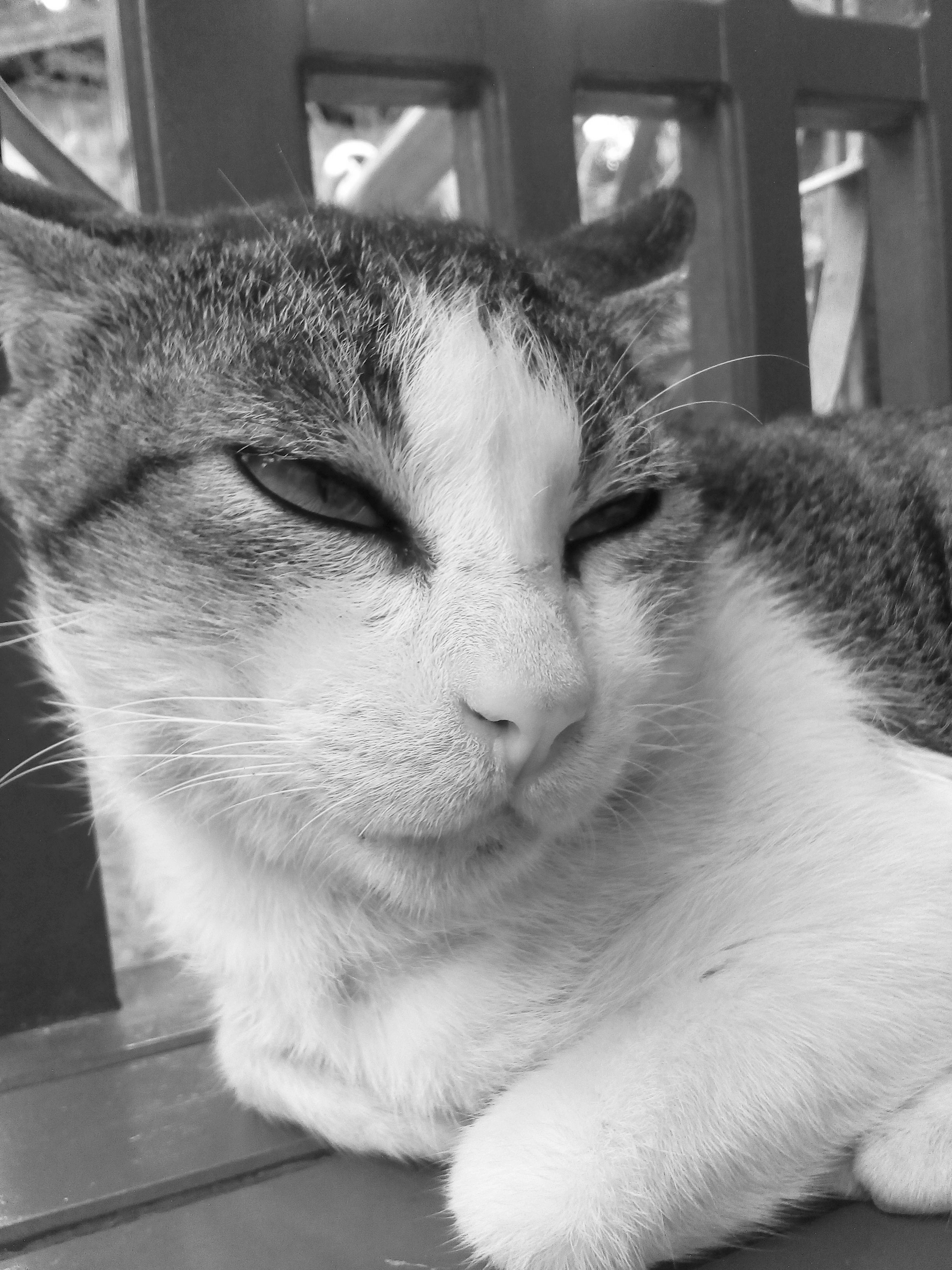 IMG_2017-12-21_16_23_42_bw.jpg