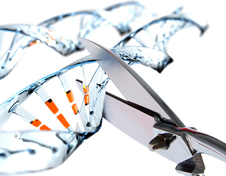 8-Ways-CRISPR-Cas9-Can-Change-the-World_hero.jpg