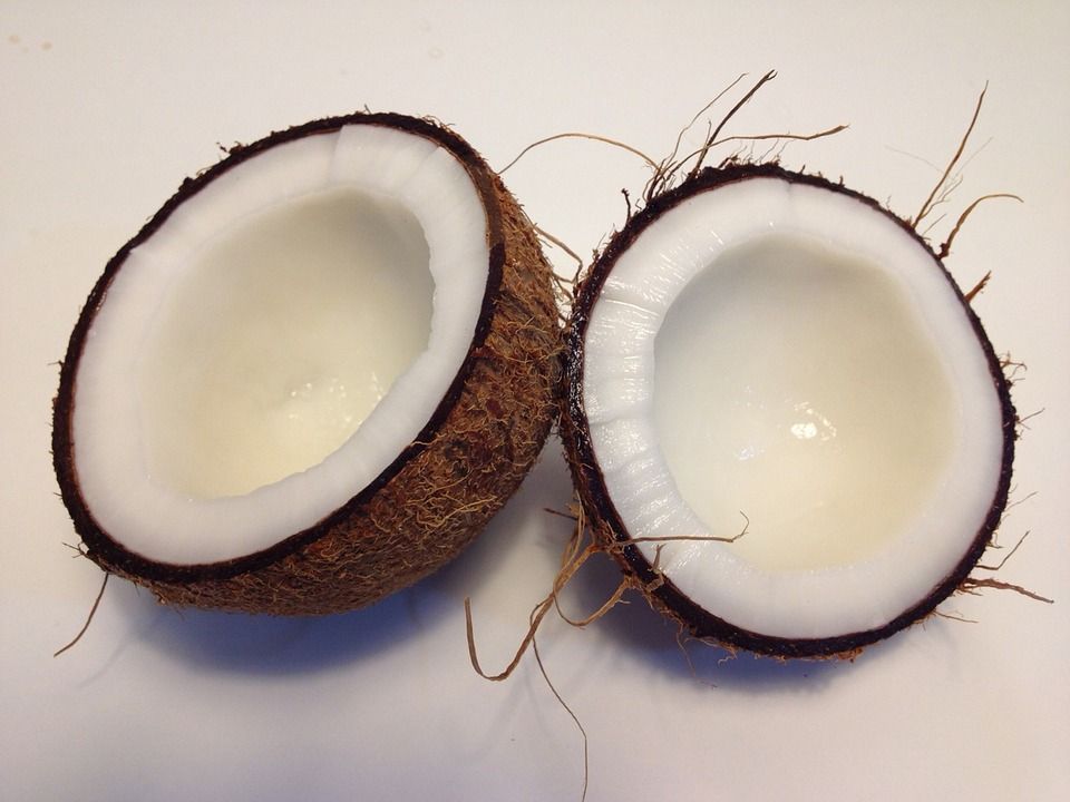 coconut-1771527_960_720.jpg