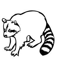 coon.png