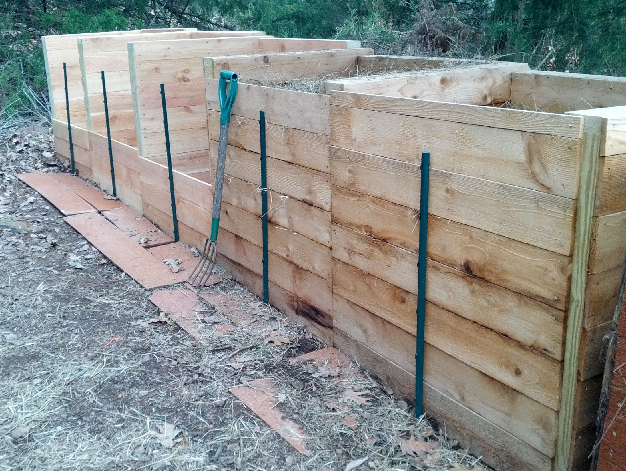 IMG_20170315_111043 (2).jpg