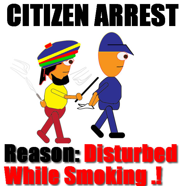 Citizen Arrest used.jpg