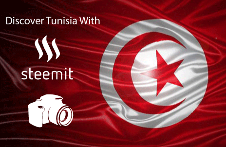drapeau_tunisie.gif