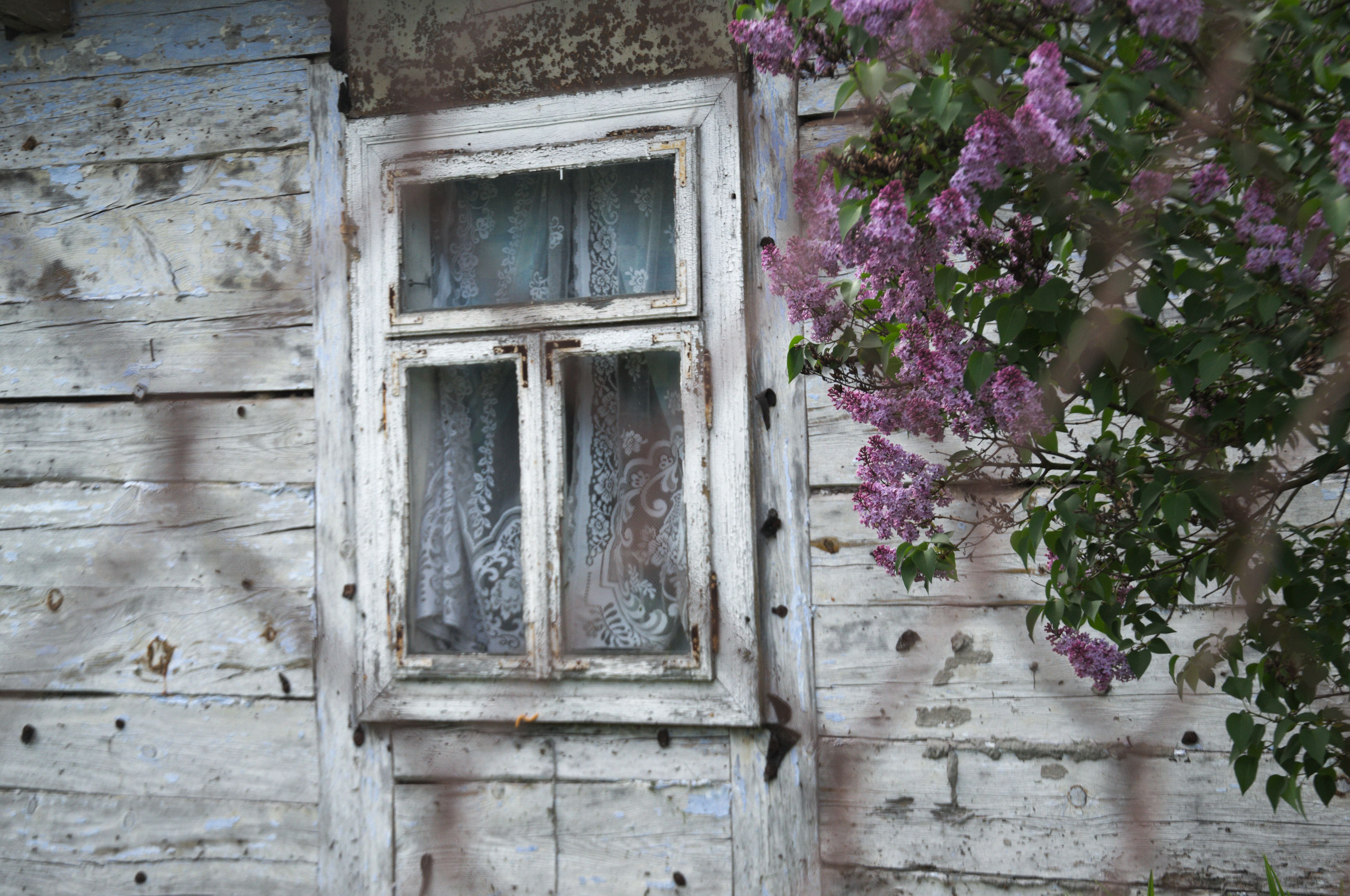 DSC_0650.jpg