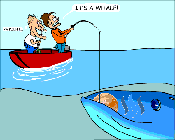 Catching_a_bitcoin_whale.png