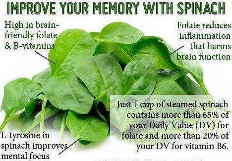 Health-benefits-of-spinach.jpg