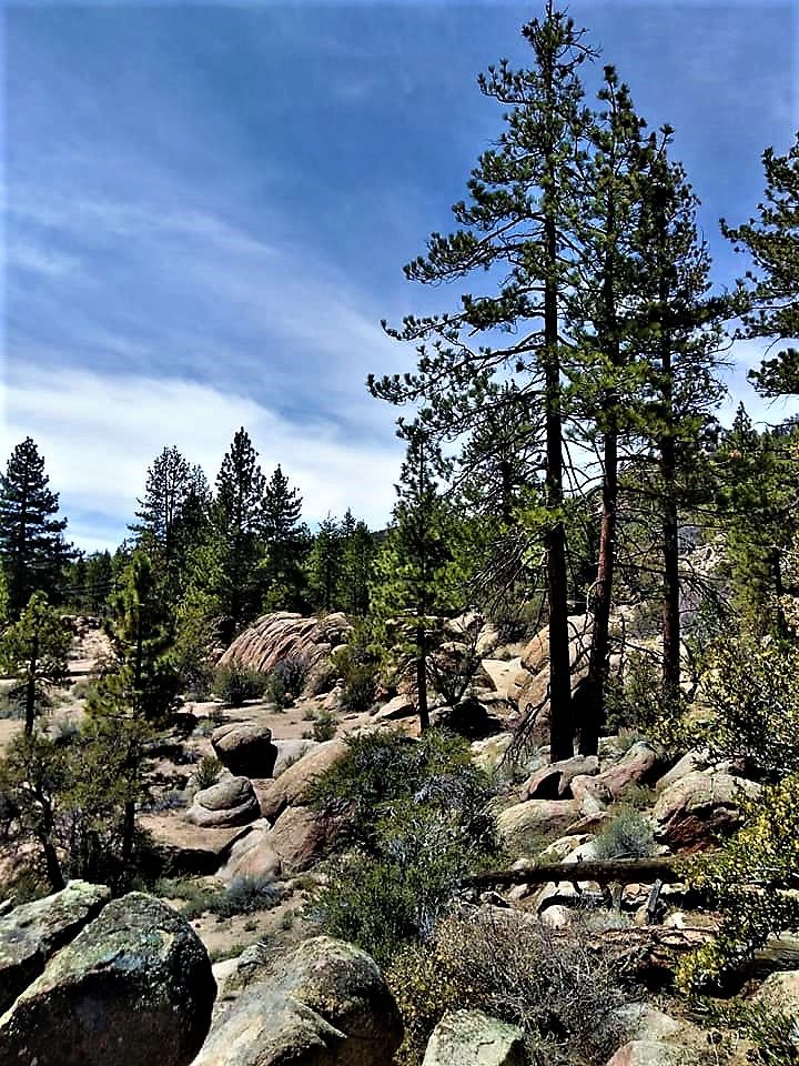 good walking 2 (2).jpg