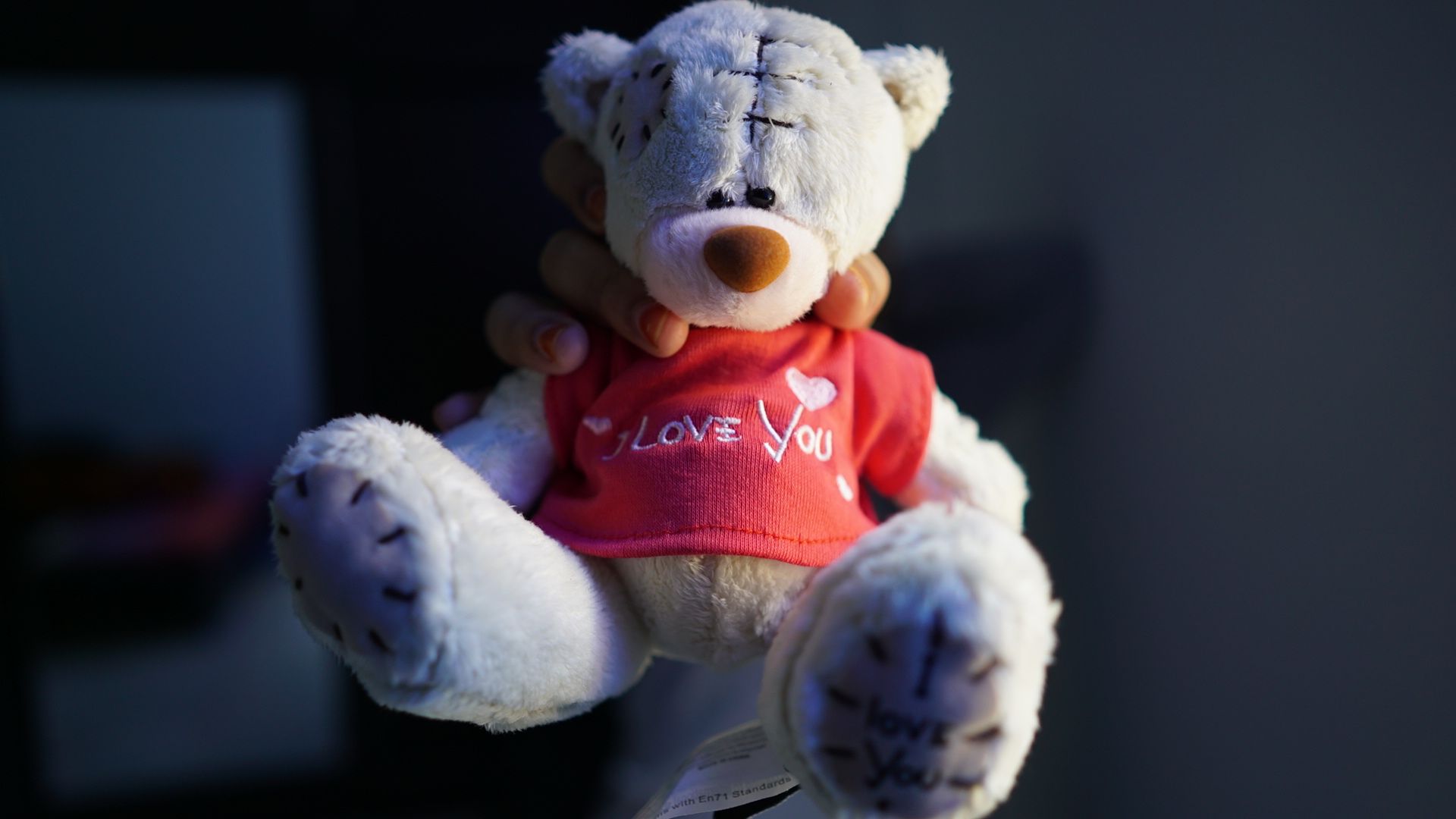 teddy bear symbol of love