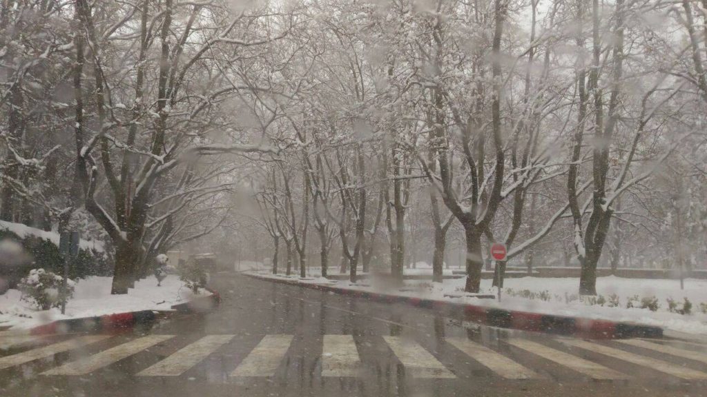 In-Pictures-Glamorous-View-of-Ifrane-Under-Snow..-1024x576.jpg